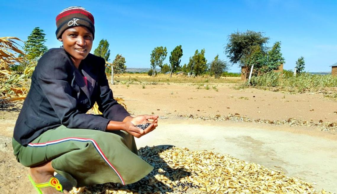 A person crouching outside holding grains in their hands 