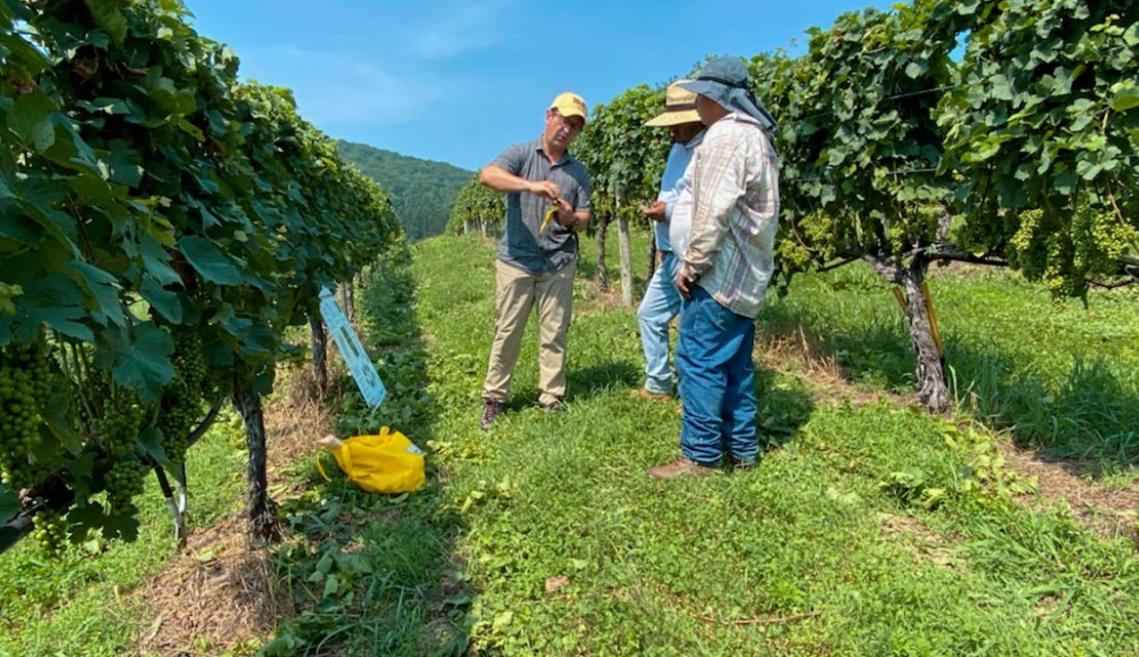Alejandro Calixto outside in a vineyard training agricultural workers
