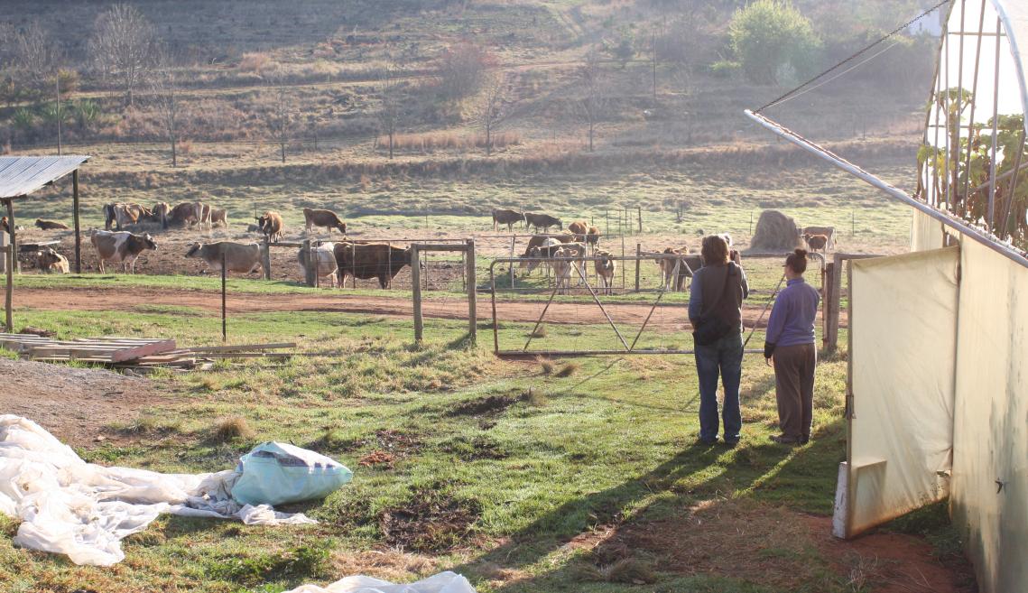 Two individuals stand in field with film equipment