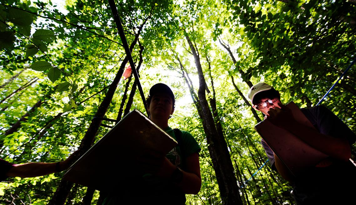 Two people standing in the woods