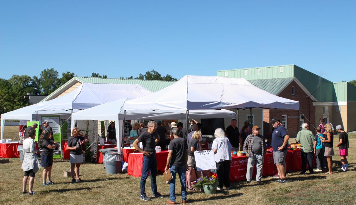 A group of people gathered outside around a white tent. 