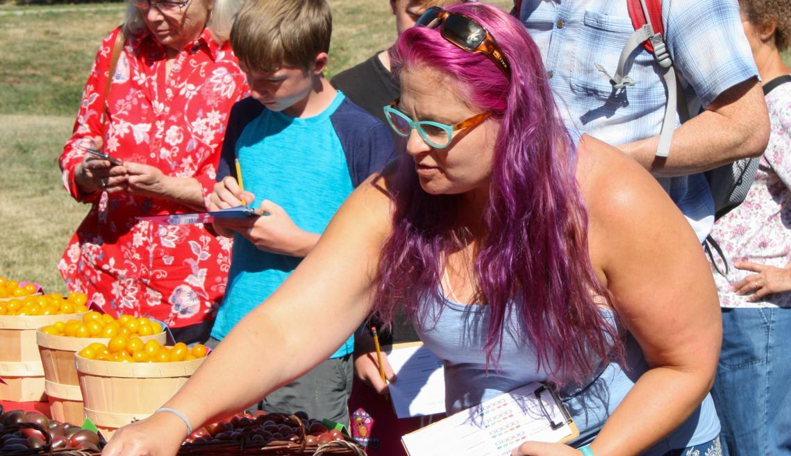 A woman looking at a variety of tomatoes on a table. 