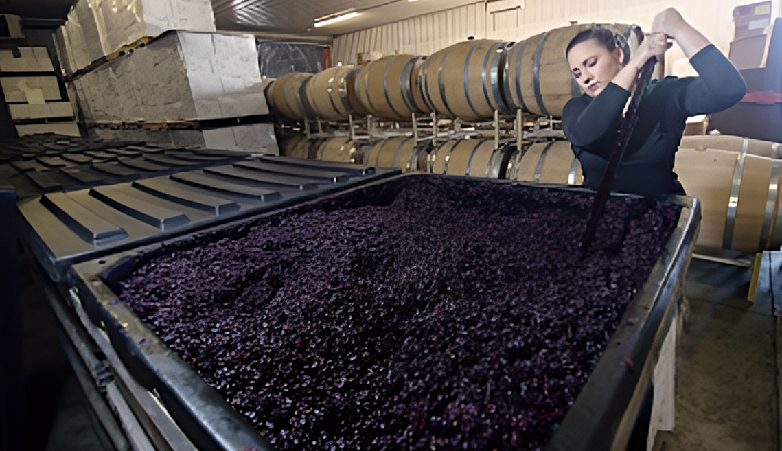 Abby Stamp pushes down the cap on a vat of fermenting grapes.