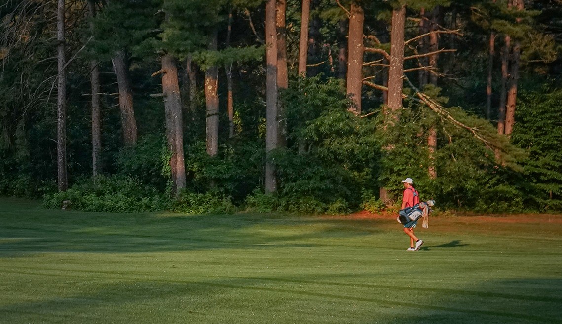 fairway with players and trees