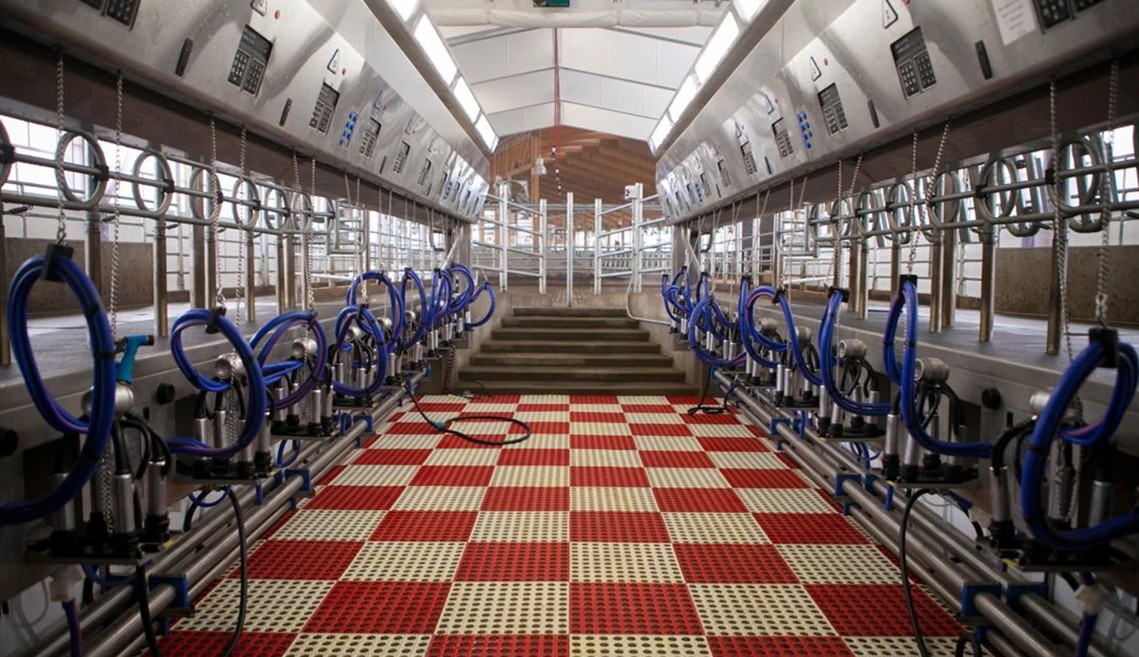view of new milking parlor