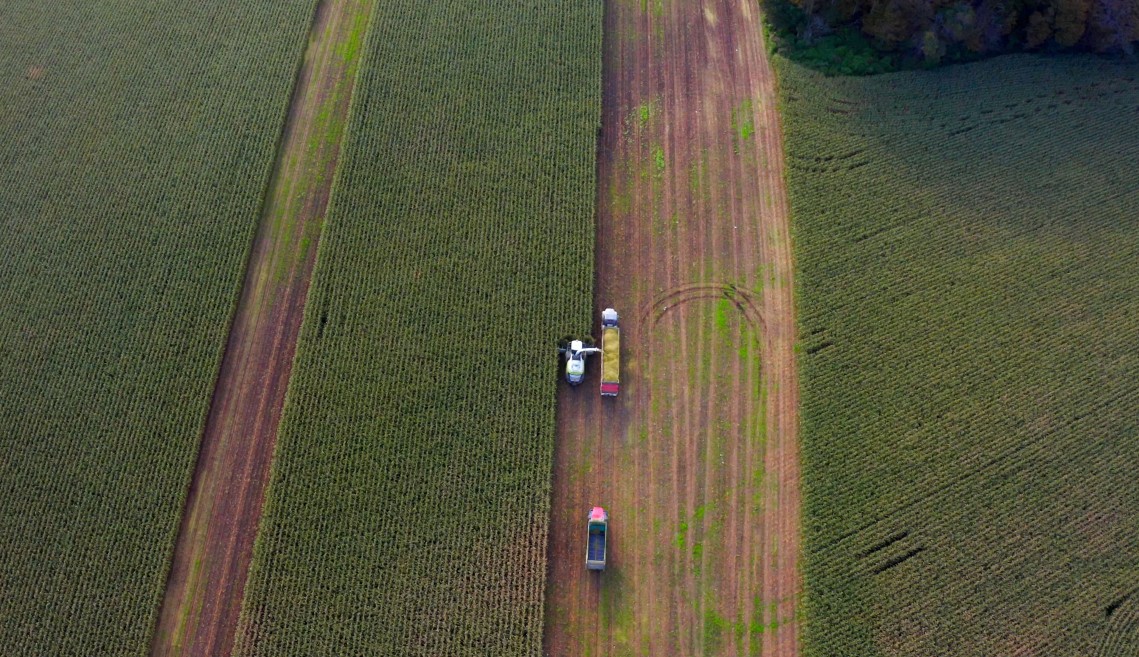 drone's eye view of a harvester harvesting a corn field
