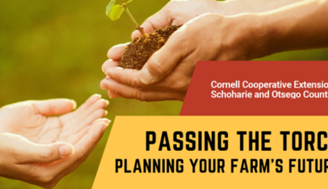 Passing the torch flyer