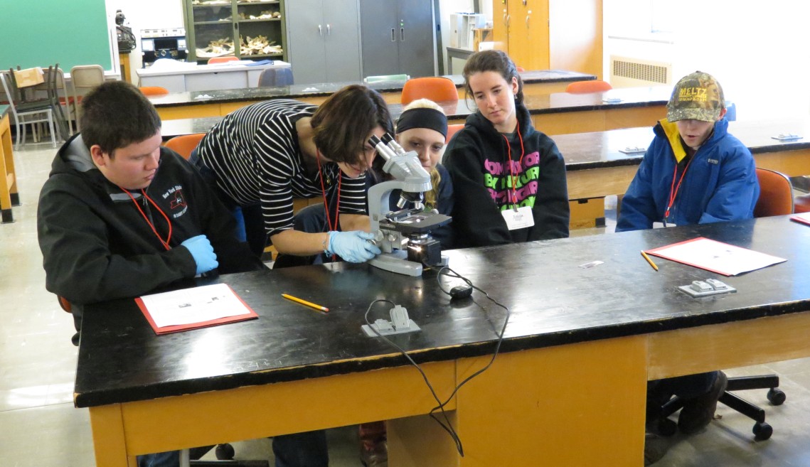 youth looking at milk samples under the microscope