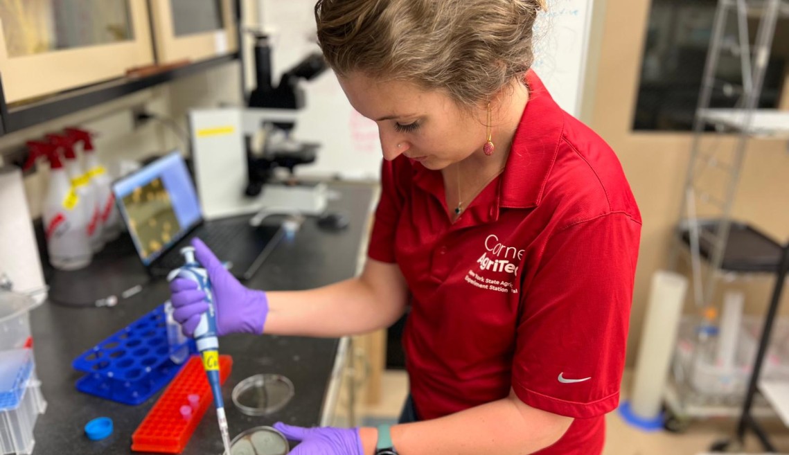 Riley works in a lab.