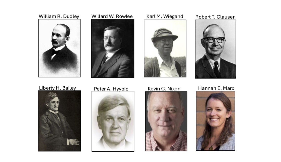 all 8 curators of the cornell herbarium together