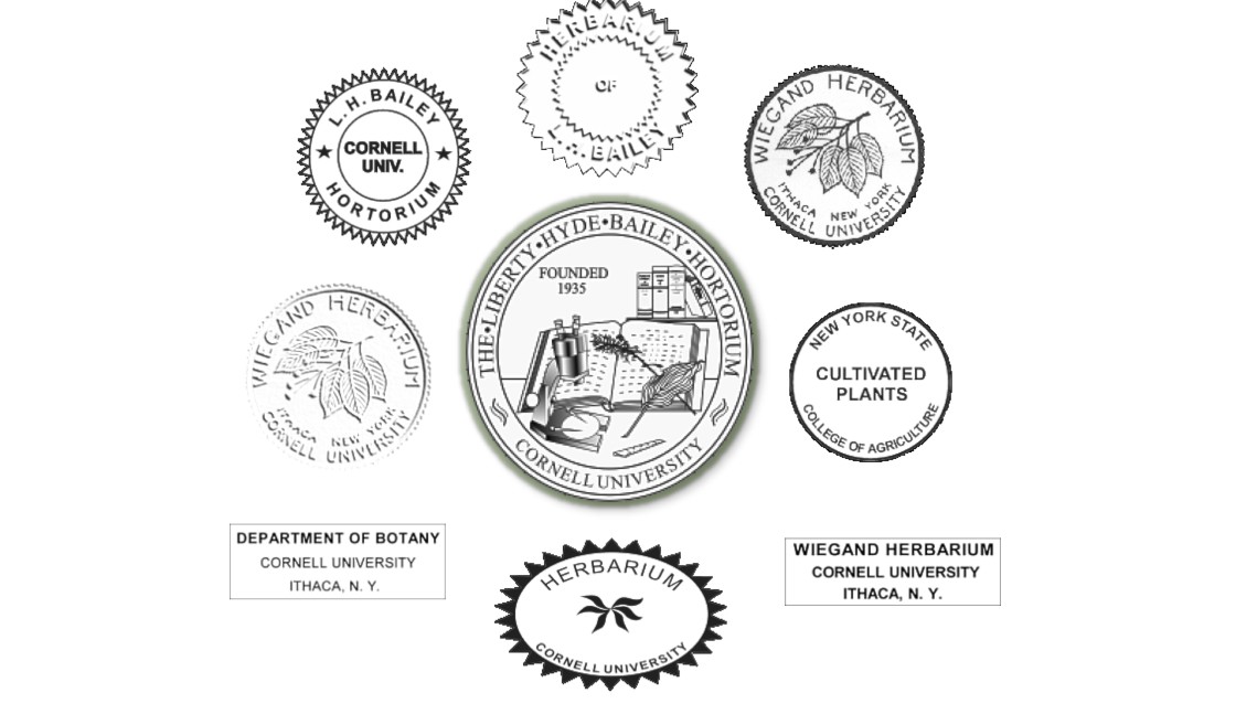 herbarium stamps over the years