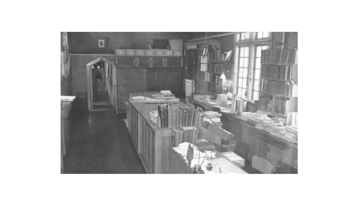 picture of cornell herbarium during the bailey era