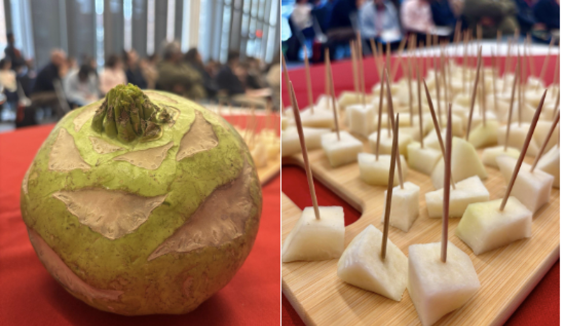 Kohlrabi in its whole form, and cubed kohlrabi samples for students to taste