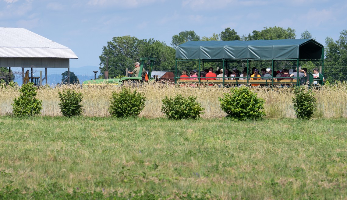 Wagon tour at the farm