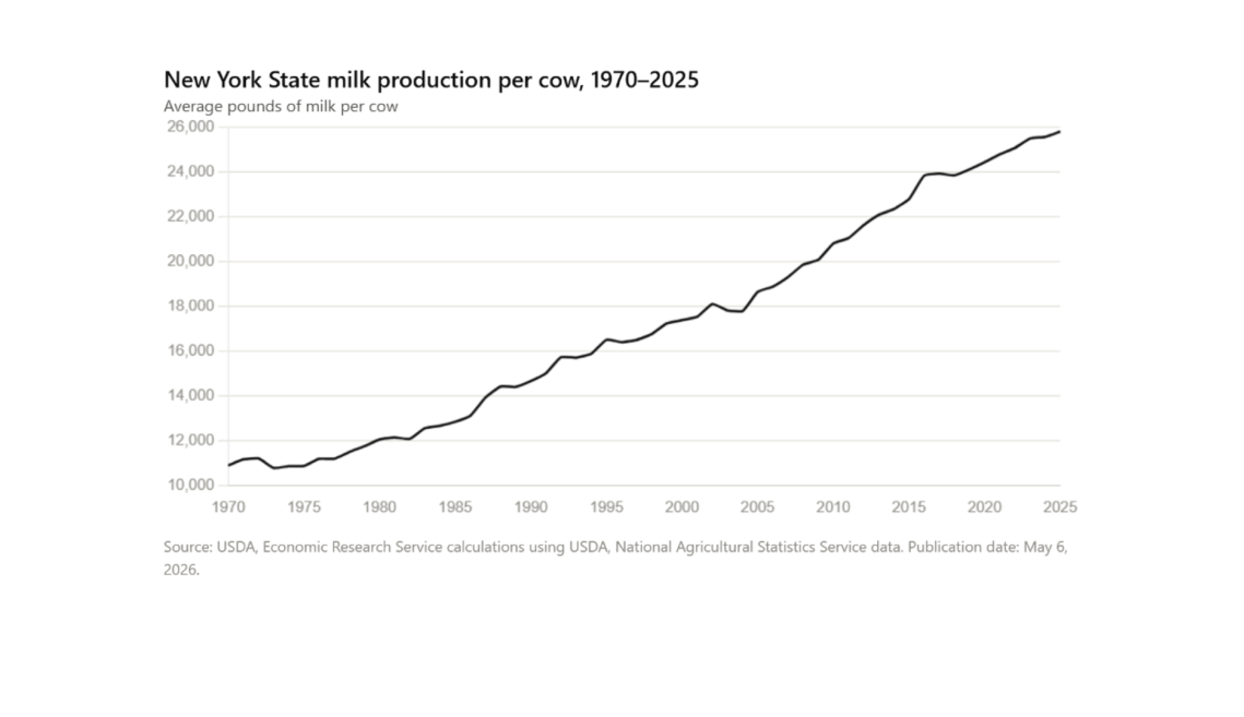 New York milk production per cow chart