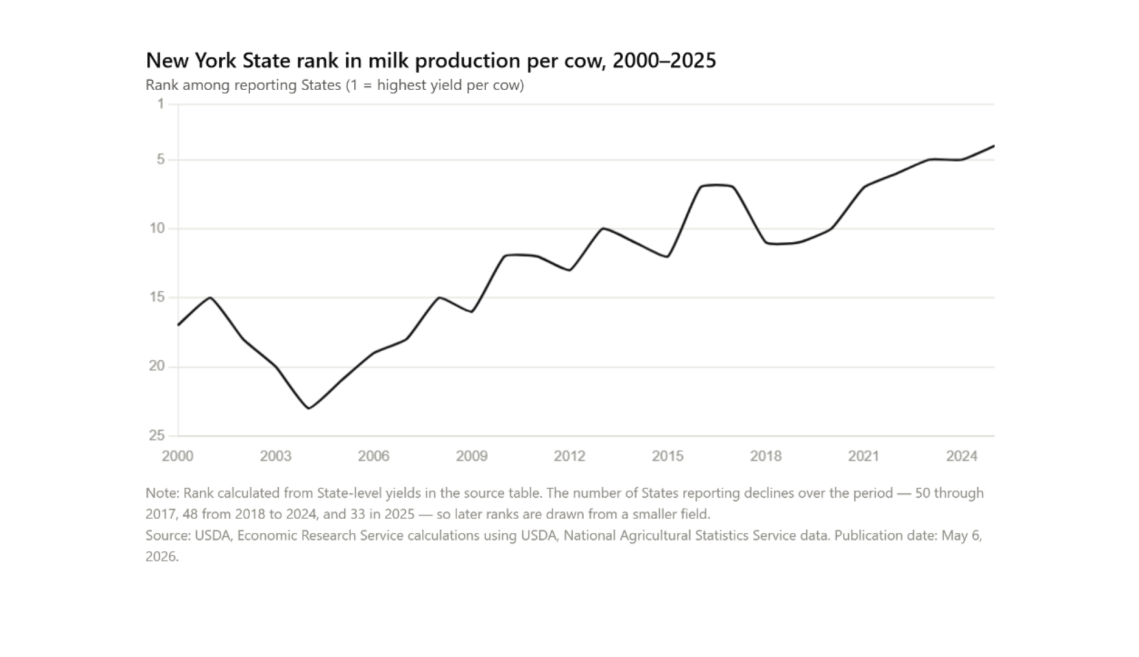 chart showing New York's increasing milk rank of production per cow