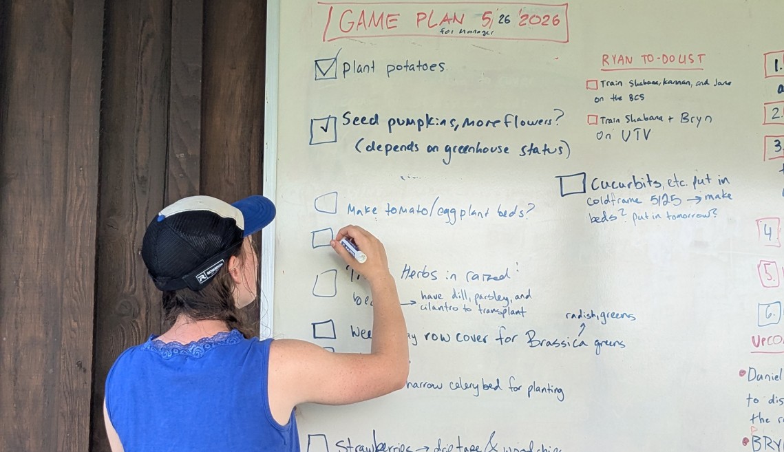 A student checking tasks on a white board 