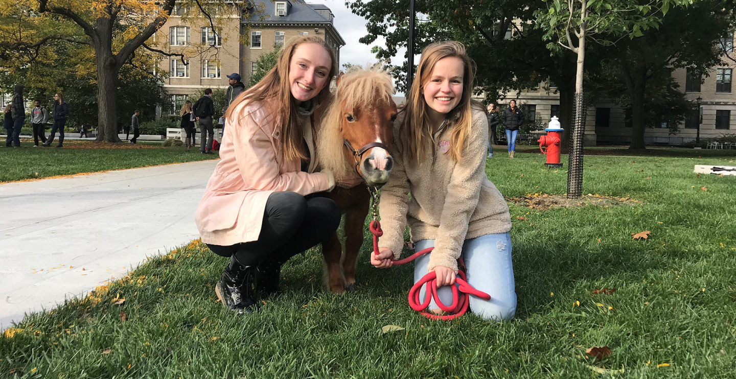 two students kneel on the grass with a small pony
