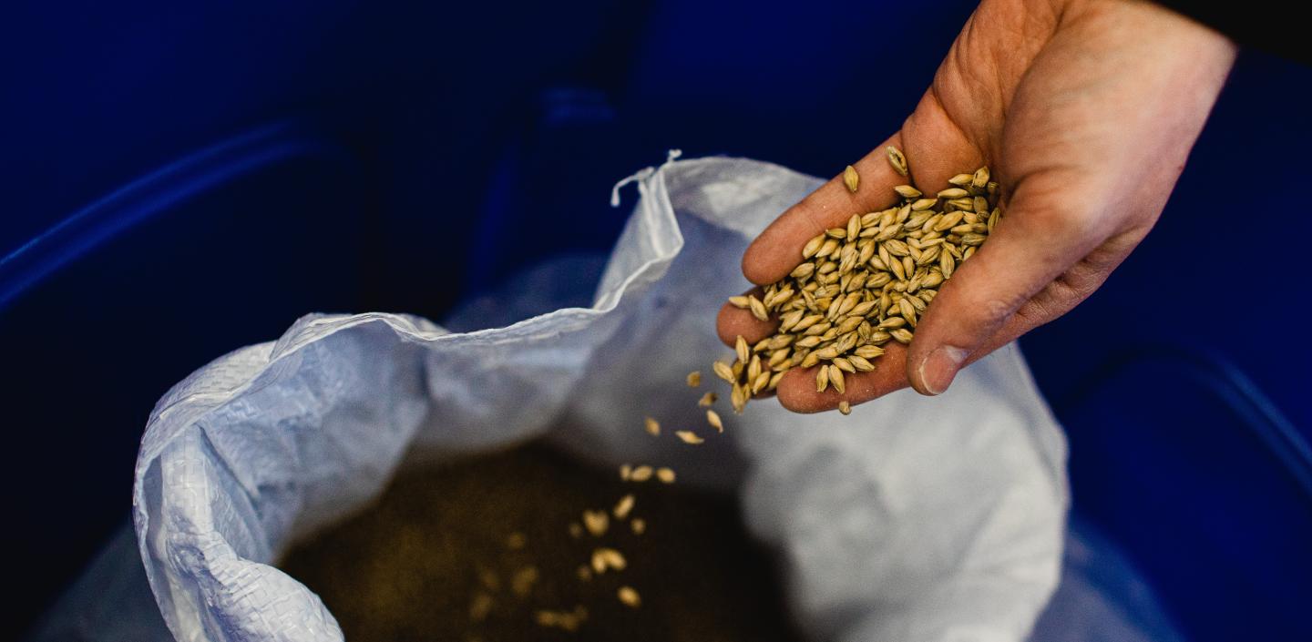 A hand pours grain back into a bag