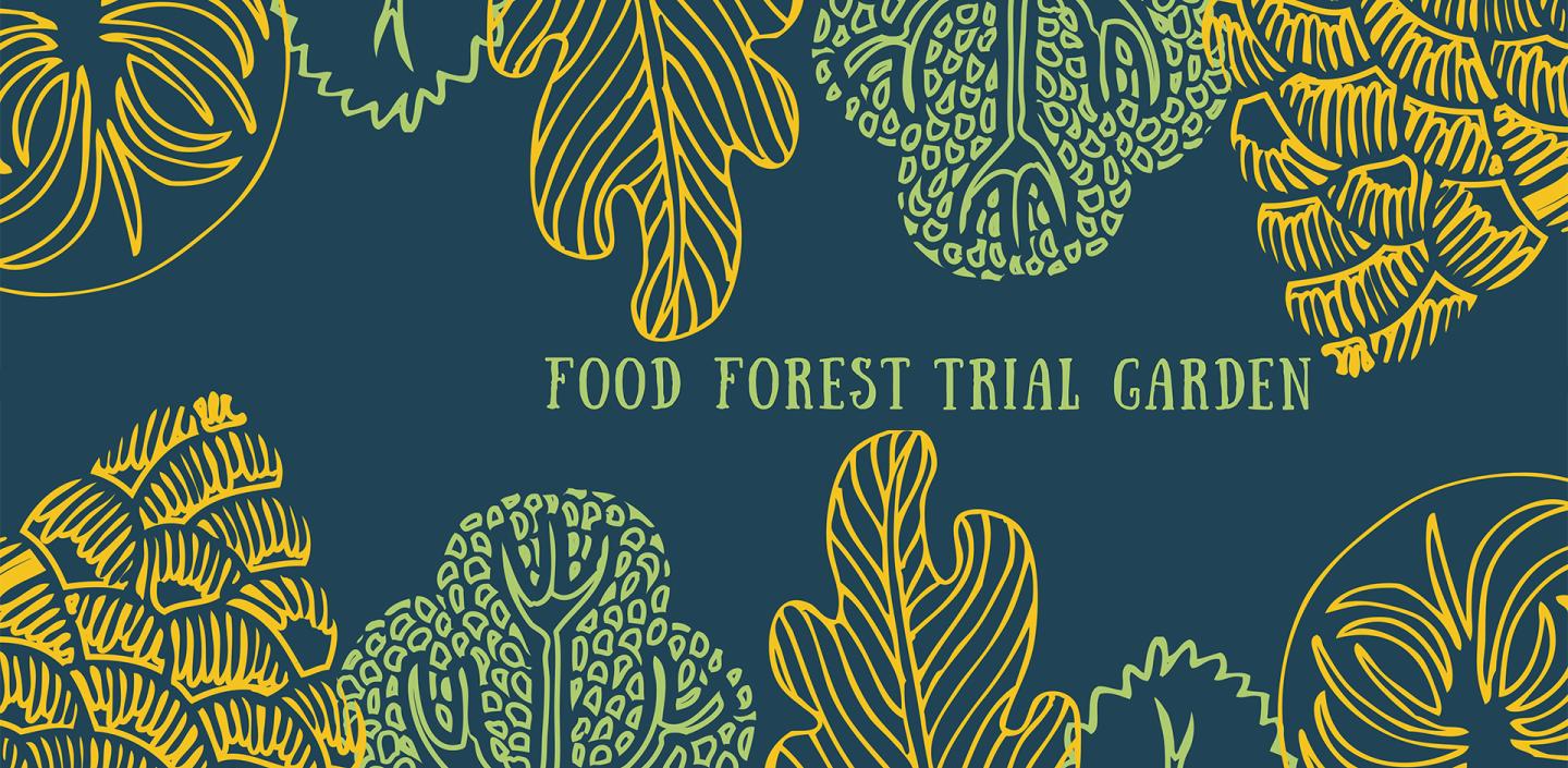 block print of forest leaves, cones, etc.