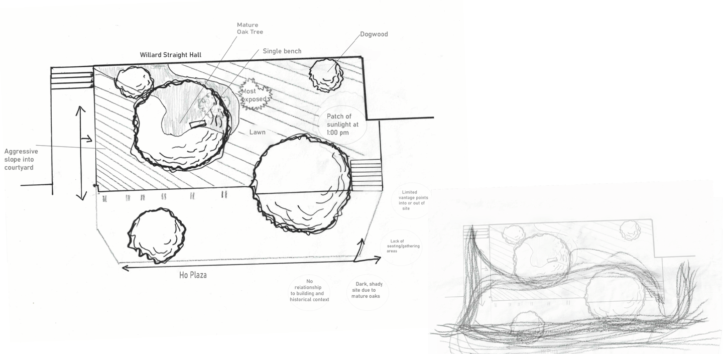 sketches of aerial drawings of garden