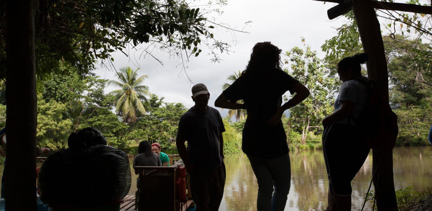 Students study in the jungle