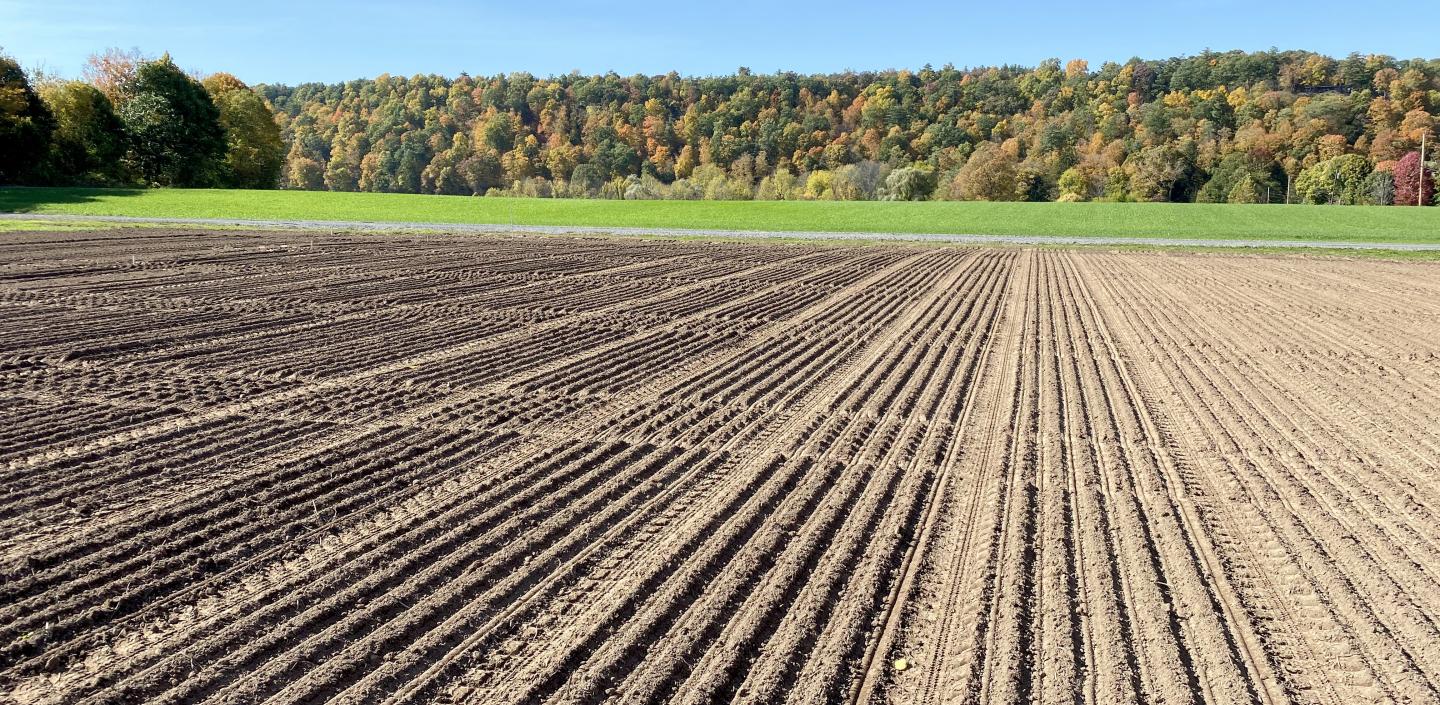 Tractor lines in a research field 