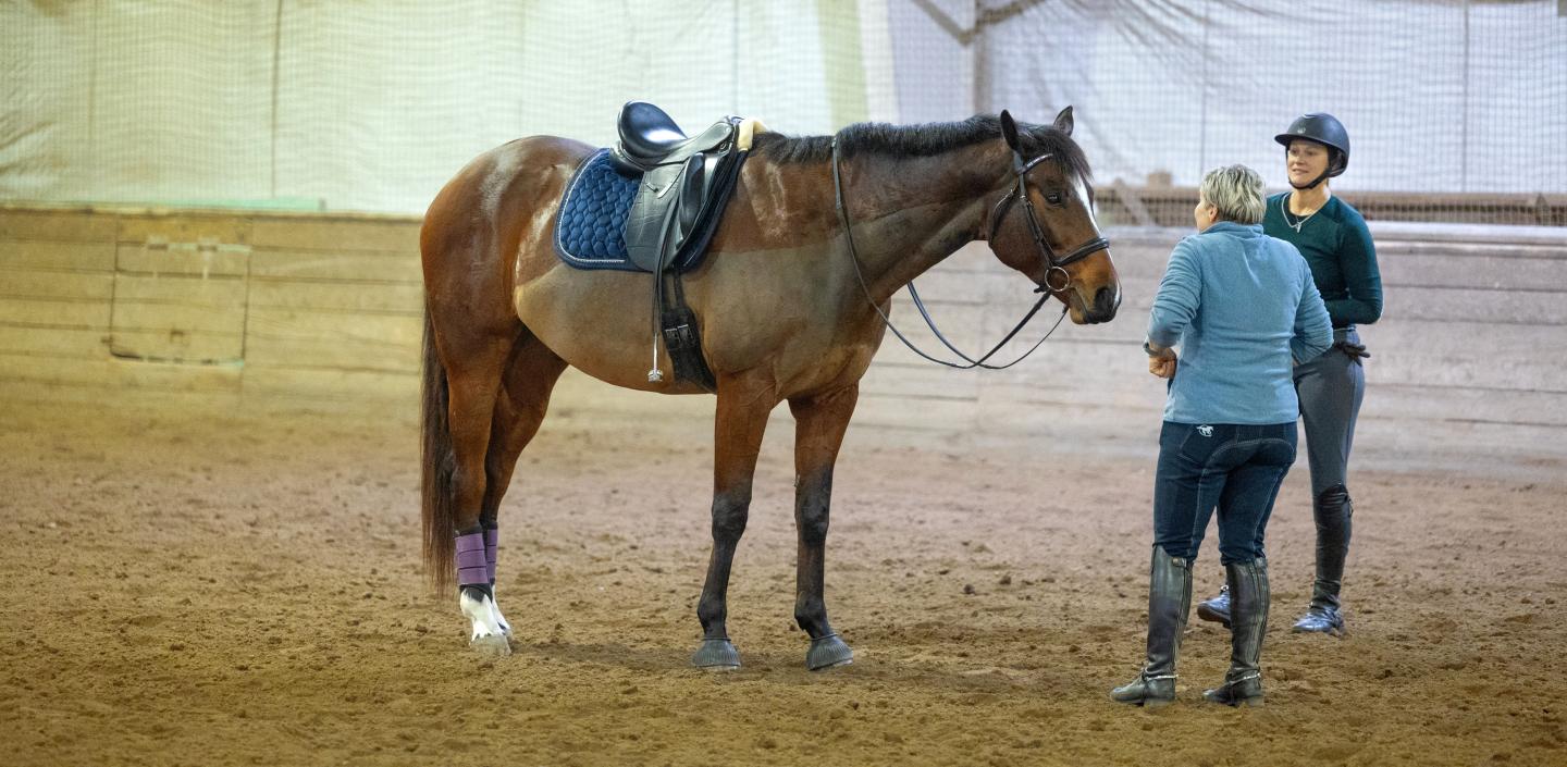 two women stand in a riding arena with a horse