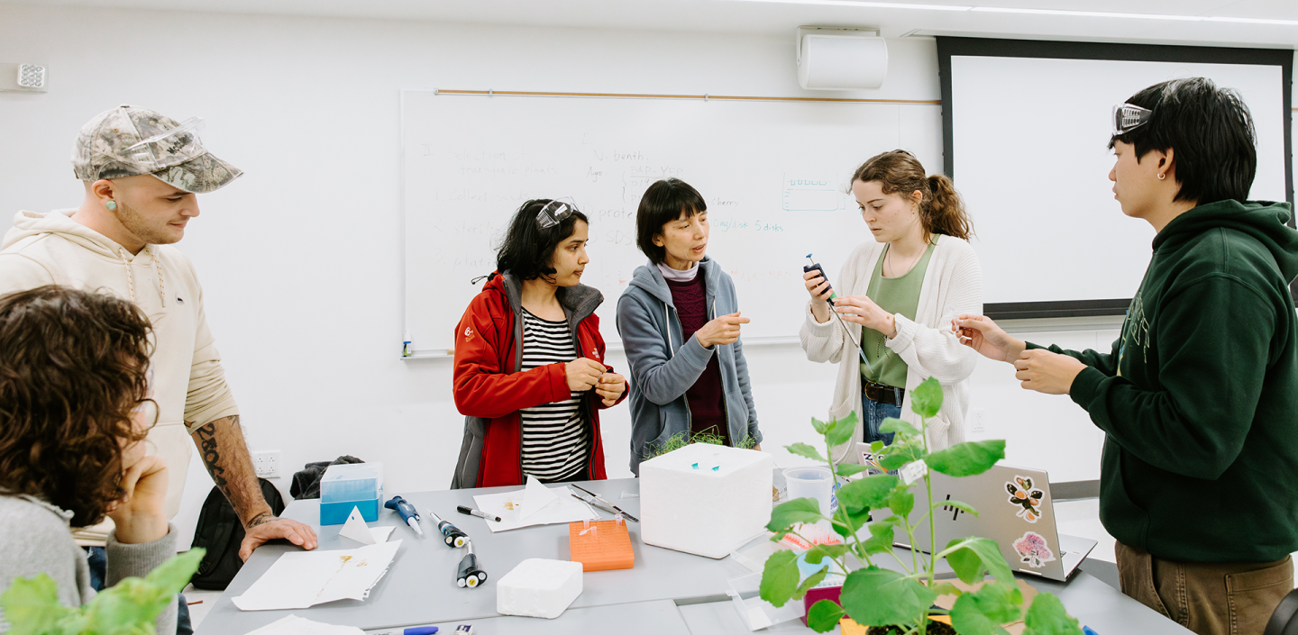 students and faculty in a white room with plants doing research