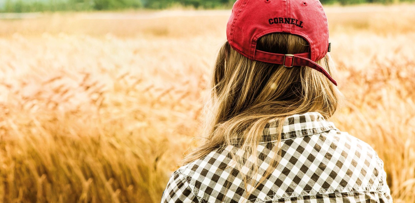 Student wearing a red Cornell CALS baseball style cap from the back. Person is sitting in a field of wheat