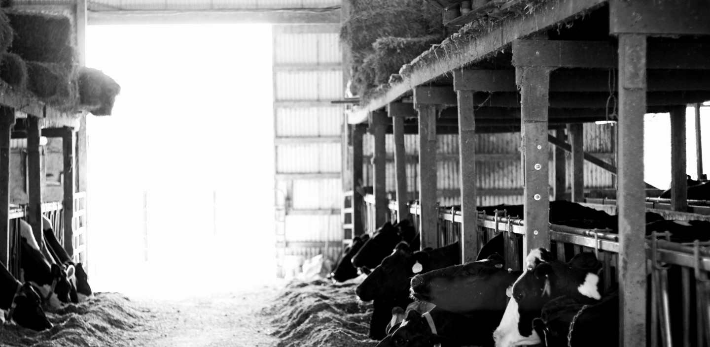 A picture of the inside of a barn.