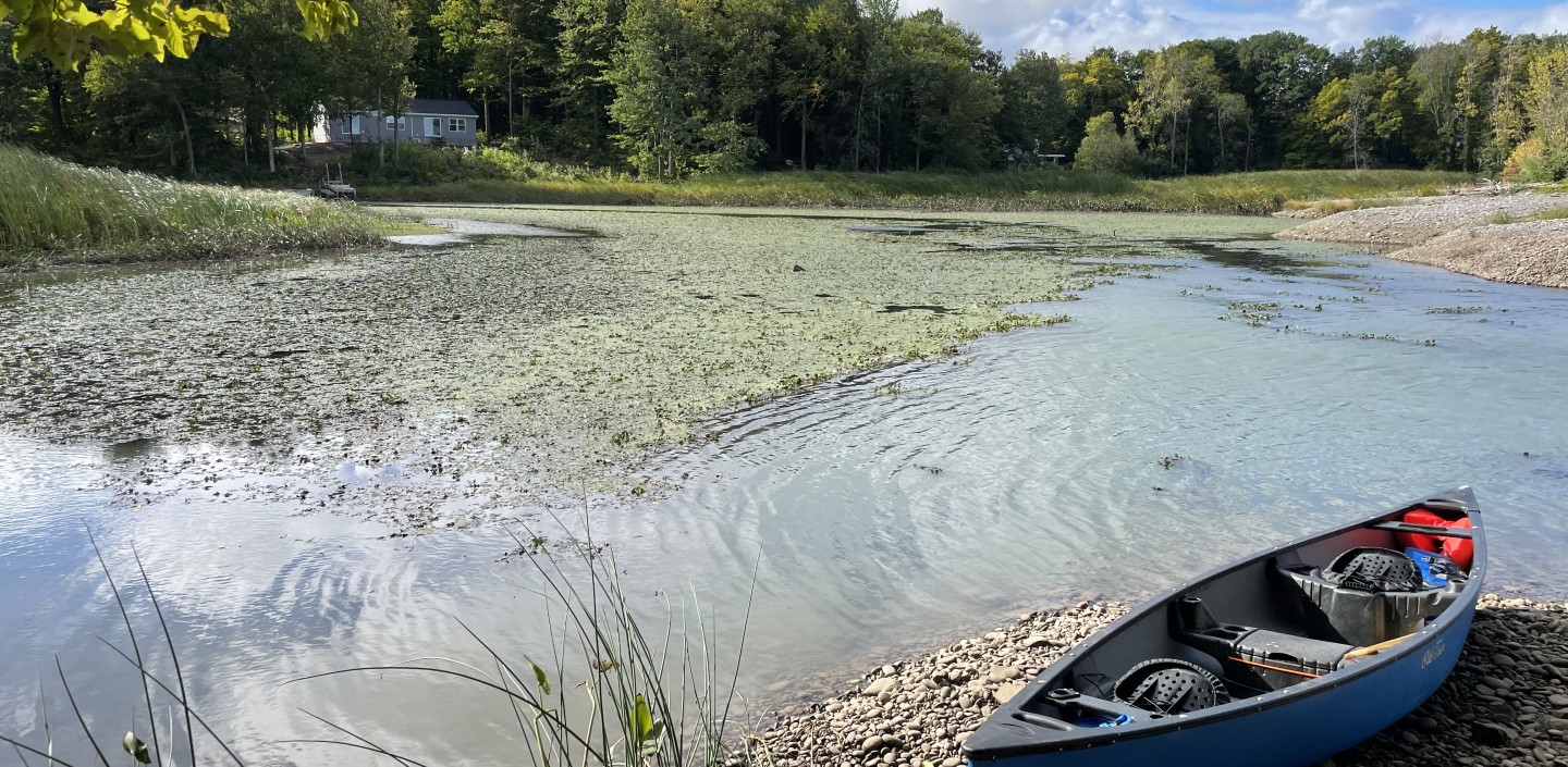 Photograph of a canoe pulled ashore on a small lake with some green plant life on the surface.
