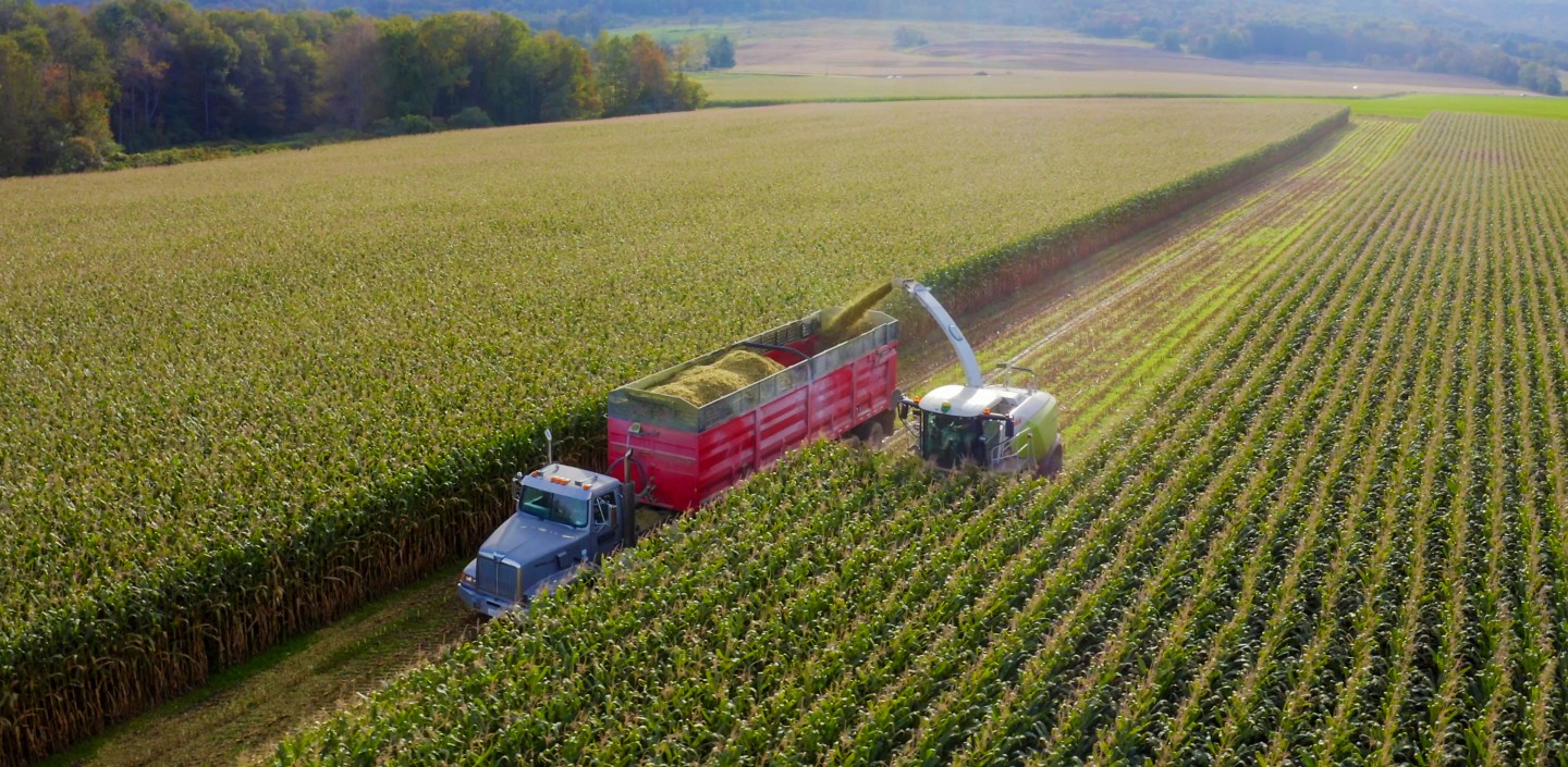 a chopper harvests grain in a field and pours it into the bed of a truck