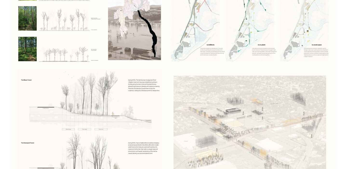 Meyer Biennial Webpost