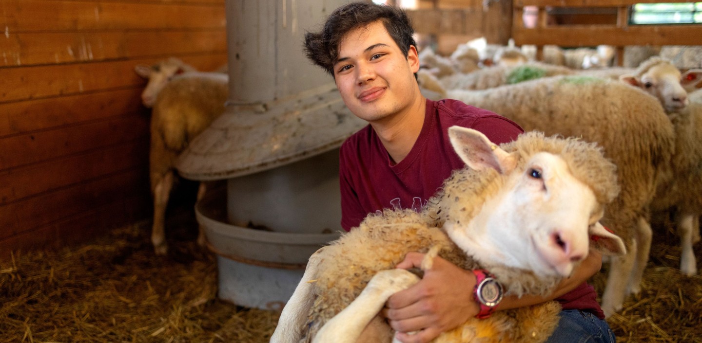 a man holds a sheep in his arms