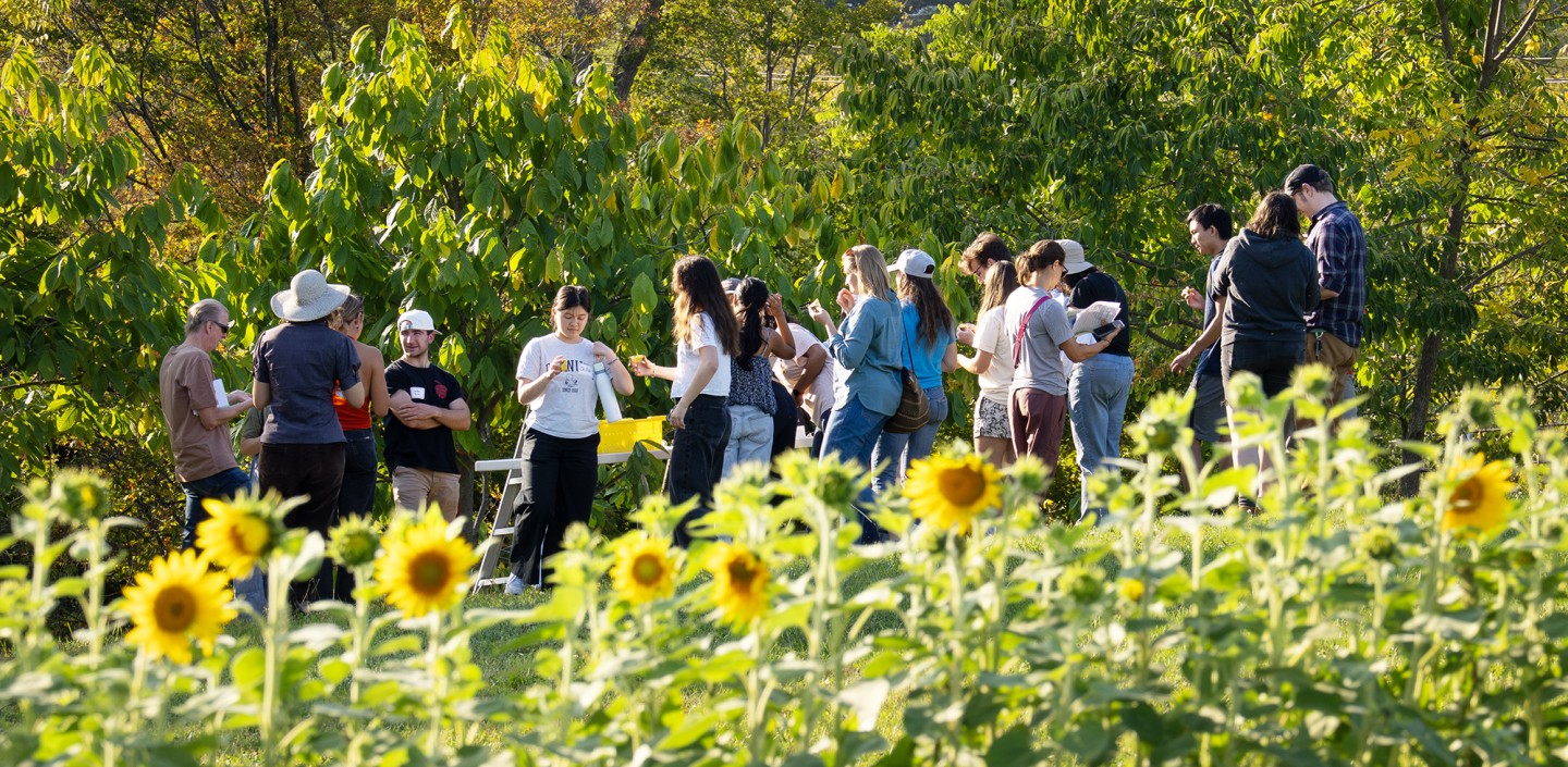 A group of people, trees and sunflowers 