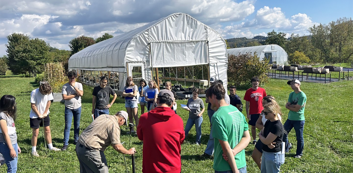 A class of students in front of high tunnels