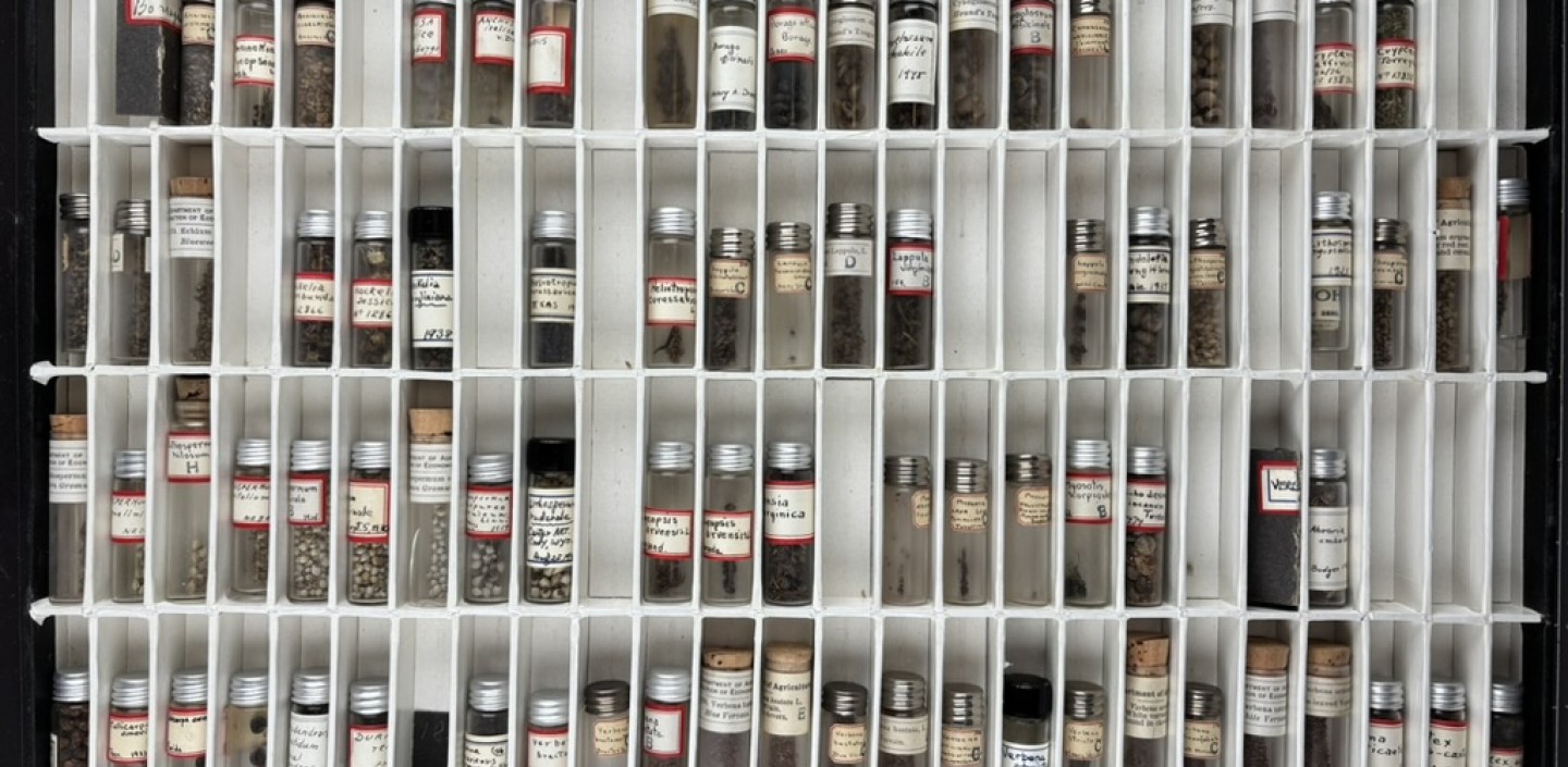vials of seed jars organized into boxes