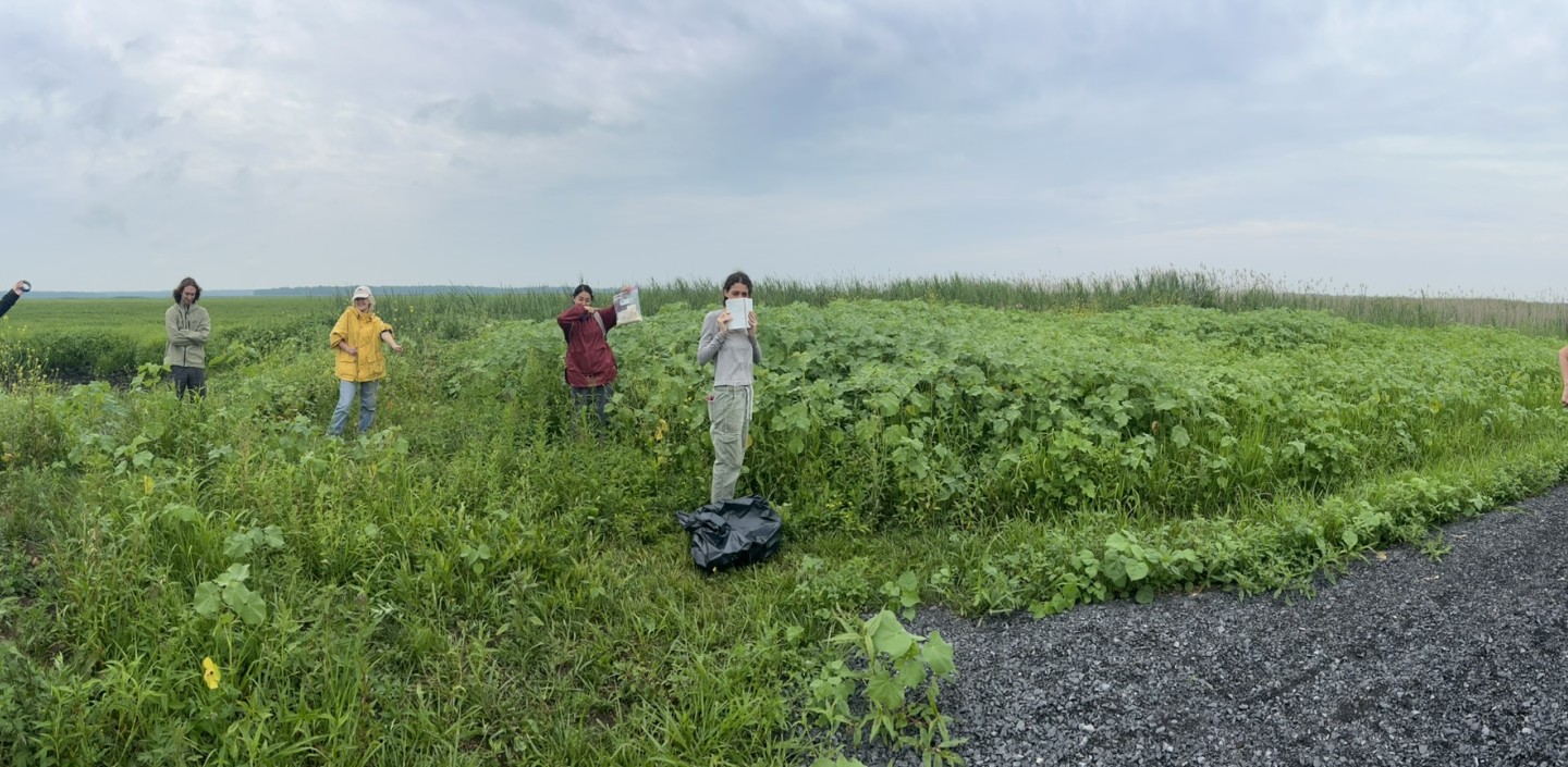 wide view portrait of multiple herbarium interns in the field collecting