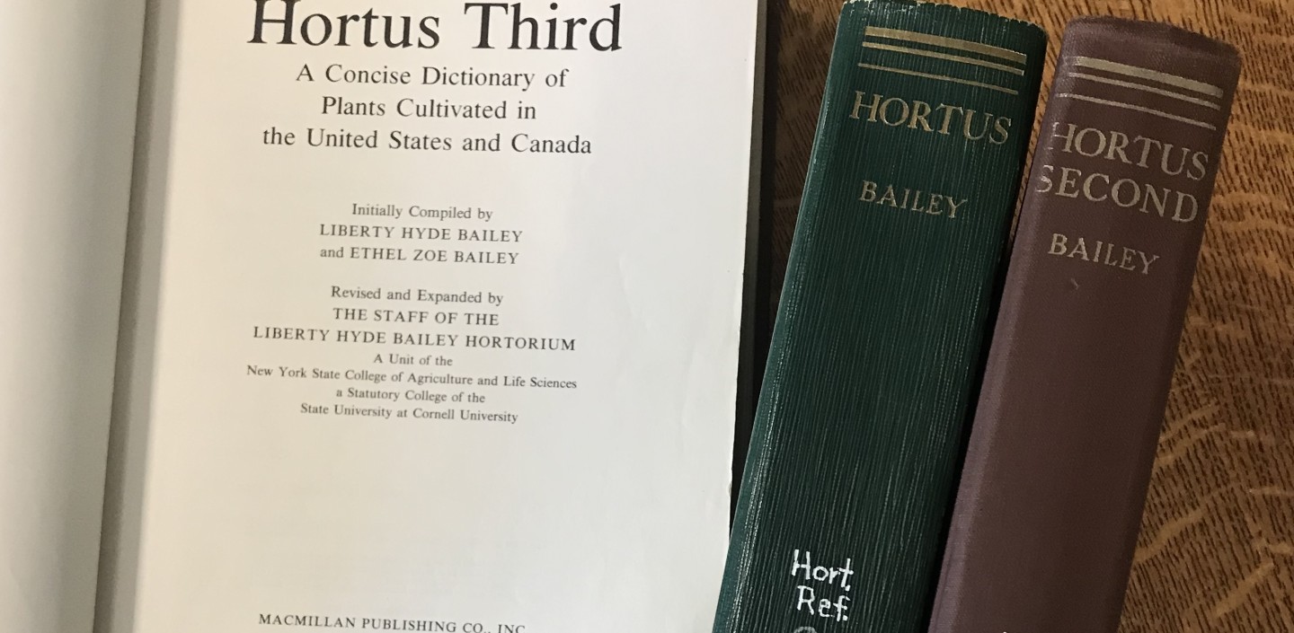 Hortus Botanical Refrence Books one book open two book ends