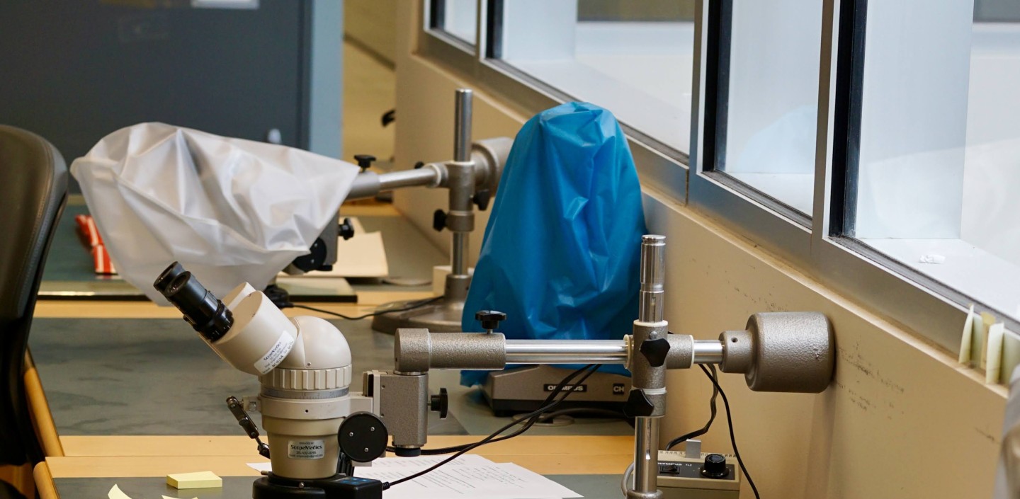 microscopes at the herbarium