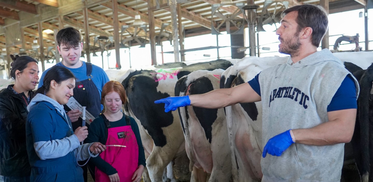a man points at artificial insemination equipment which a group of young people are looking at