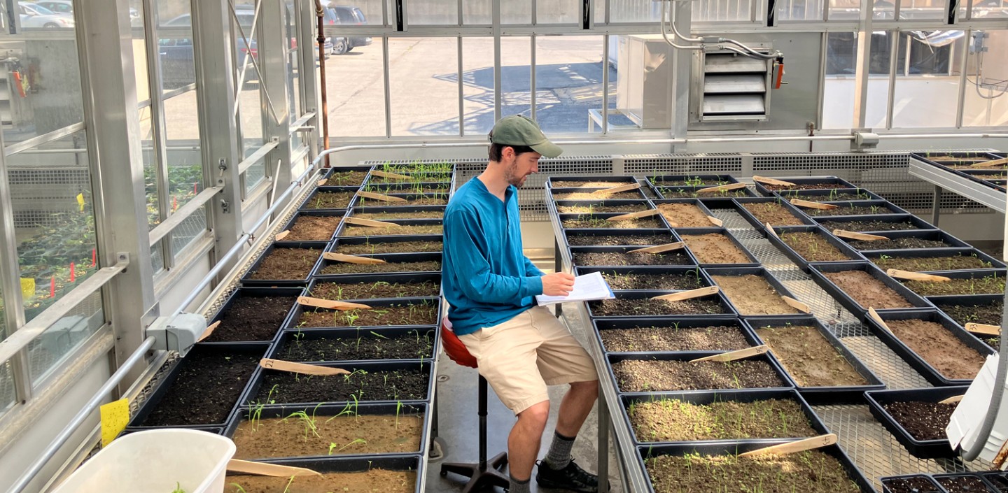 A person sits on a high stool in a greenhouse, surrounded by tables of flats filled with soils of various colors. Small seedlings can be seen growing in the flats.