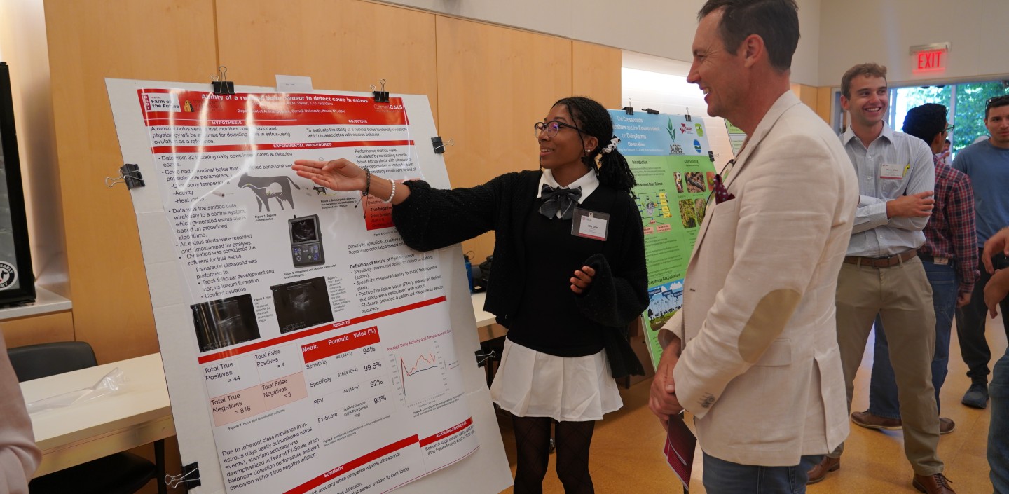 Animal Science intern with CALS Dean Houlton