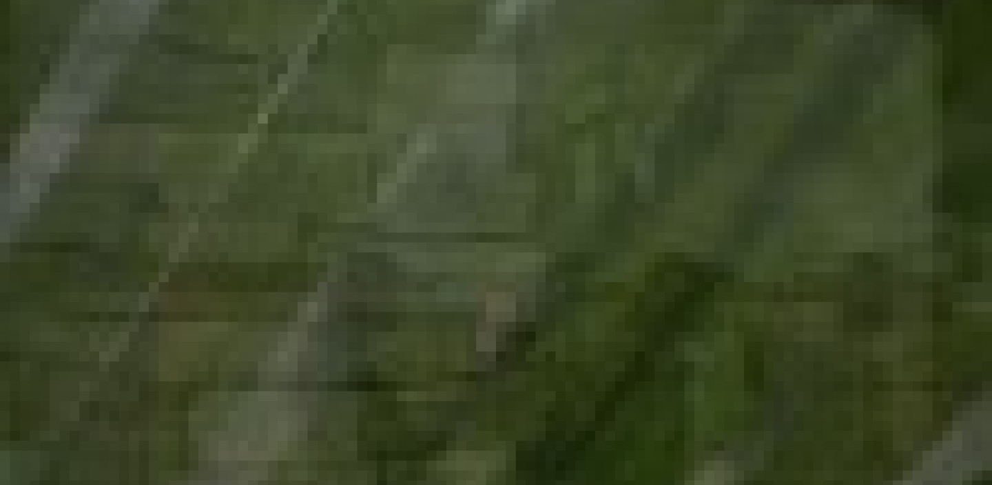 Arial view of fields