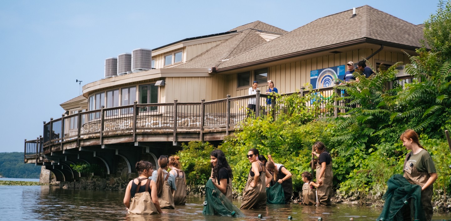 Photograph of several people wearing waders in a river with large seine nets and a large building with a deck behind them.