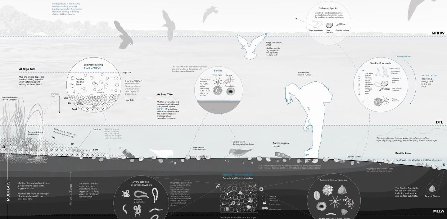Littoral Futures 1