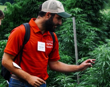 A man wearing a red shirt and baseball hat standing in front of and talking about a green leafy plant
