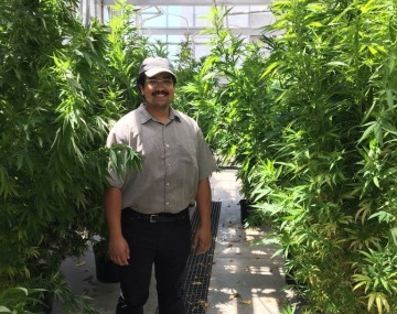 A man standing in a greenhouse 