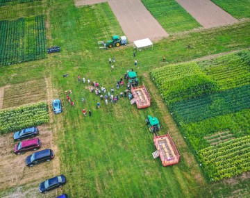 aerial shot of field day hay wagons and attendees viewing research plots